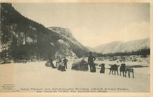 C-1910 Alaska Dog Team Skagway River Dawson Kern Postkarte 25-3870 - Bild 1 von 2