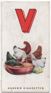 OGDENS CIGARETTE CARD POULTRY ALPHABET 1924 No.22 V IS FOR VESSEL