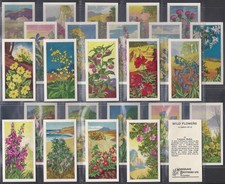MUSGRAVE (TEA)-FULL SET- WILD FLOWERS 1961 (25 CARDS) EXCELLENT+++