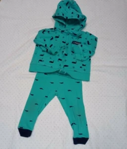 JUEGO DE SUDADERA CON CAPUCHA Y PANTALÓN CARTER'S BABY BOY 2 PIEZAS GUAPO PEQUEÑO 9M ROPA DE CONJUNTO - Imagen 1 de 8