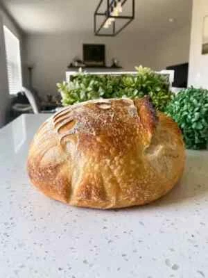 ORGANIC Sourdough Starter DEHYDRATED Bavarian Munich Pretzel - 15 Gram Bag - Image 1 of 4