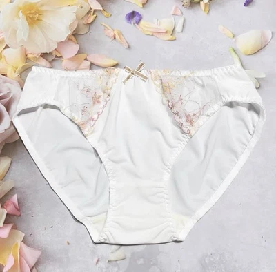 US-L/JP-3L Japanese Brand Elegant Glittery Floral Embroidery Smooth Nylon Panty - Image 1 of 4