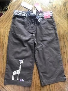 Gymboree NWT Desert Flower 10 Giraffe Capri Sparkle Gem Clamdigger Brown Sash - Picture 1 of 9