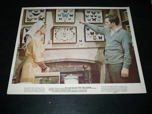 THE COLLECTOR, partial set of 3 color 8x10 [Terence Stamp, Samantha Eggar - 1965 - Imagen 1 de 3