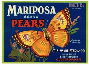 ETIQUETA CAJA ORIGINAL AÑOS 30 VINTAGE MANZANA SAN FRANCISCO MARIPOSA MARIPOSA PERAS - Imagen 1 de 1