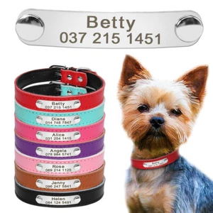 Collar acolchado de cuero suave para perro gato personalizado personalizado mascota cachorro etiqueta de identificación grabada - Imagen 1 de 24