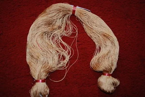  Wels Fischernetz Stellnetz-Blatt 55mX1,4mX180mm Nylon - Picture 1 of 1