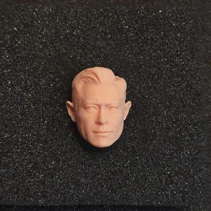 1:12 Unpainted Hong Kong Actor Louis Koo Head Sculpt Fit 6inch Male Figure Body - Picture 1 of 4