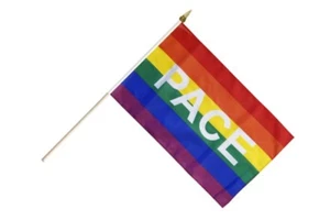 Regenbogen mit PACE Stockflagge Flaggen Fahnen Stockfahne 30x45cm - Bild 1 von 1