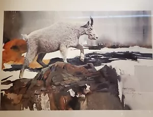 MORTEN SOLBERG "On the High Side - Mountain Goat" Sealed Print 74/950 - Bild 1 von 5