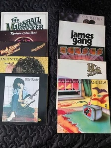 Rock Records lot of 10 LP's Squire, James Gang, Bob Seger, Kansas, Hunter (5) - Picture 1 of 23
