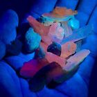 260 CTs Gorgeous Natural Rare Under UV Light Kunzite Crystals@ Afghanistan