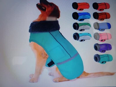 Dog collar and coat, both size L, brand new with tags, very nice quality  - Image 1 of 2