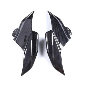Carena laterale in carbonio per BMW R 1300 GS 2024- - Foto 1 di 1