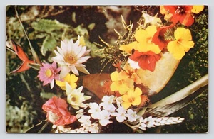 Island Flowers Honolulu Hawaii Vintage Unposted Chrome Postcard - Picture 1 of 2