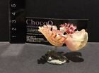 Kaiyodo Animatales Choco Q Series 9  Pink Sea slug Figure