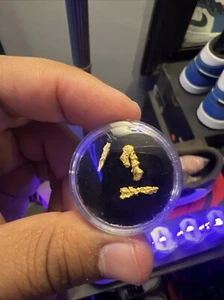 Alleghany Gold Mines .63g Natural Wire Gold Nugget – High Purity Specimen - Picture 1 of 13