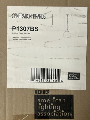 NEW Generation Brand P1307BS 1-Light Tabby Pendant - Image 1 of 4