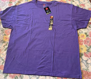 Hanes Ultimate X-Temp T-Shirt Manica Corta LAVANDA - XL - Cooling Wicking - Foto 1 di 3