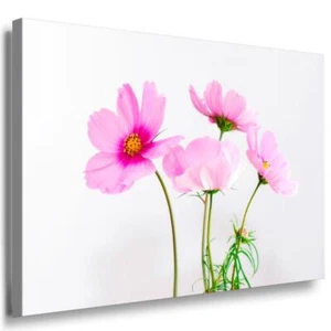 Rosa Blumen Leinwandbild / AK Art Bilder / Mehrfarbig + Kunstdruck XXL Wandbild - Bild 1 von 5