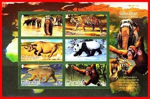 Gibraltar 2011 Asian ANIMALS S/SHEET (BLOCK) mnh unmounted NICE LOT - Picture 1 of 1