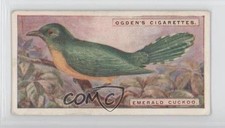 1924 Ogden's Foreign Birds Tobacco Emerald Cuckoo #11 3c7