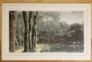 Postal de colección Lake and Trees circa 1909 rotógrafo sin usar - Imagen 1 de 1