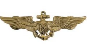 ASTRONAUT BADGE WING HAT PIN APOLLO NASA SPACE SHUTTLE PILOT US NAVY MARINES WOW - Picture 1 of 1