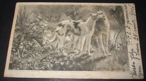 Postal de cómic de perros de colección de 1903 IRISH WOLFHOUNDS KISS UNDER MOON'S SOFT BEAM - Imagen 1 de 2