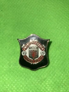 Vintage Manchester United Carryduff Branch Supporters Badge 1995/96 - Picture 1 of 3