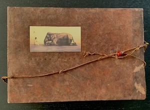 ASHES & SNOW - GREGORY COLBERT - 2006 - EPHEMERA - WRAPS /CORD. - Picture 1 of 17