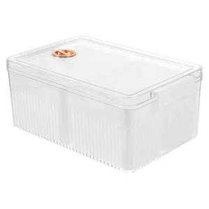 Seasoning Storage Box Refrigerator Organizer Ginger Containers for Fridge - Picture 1 of 12