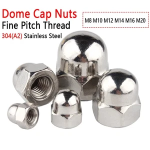 Fine Pitch Thread Dome Cap Nuts Hex Domed Nuts A2 Stainless M8 M10 M12 M14 - M20 - Picture 1 of 19
