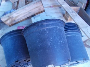 62 Göttinger 5ltr. Töpfe Runde Pflanztöpfe 5ltr. für innen und aussen - Bild 1 von 6