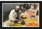 Nigeria Postcard   Ali Buda Selling His Tomatoes   Gusau Zamfara State Tz5003