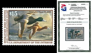 Scott RW66 1999 $15.00 Duck Stamp Mint Graded XF-Sup 95 NH with PSE CERT - Picture 1 of 1