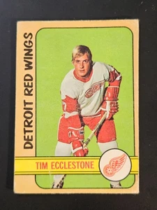 1972-73 O-PEE-CHEE HOCKEY #55 TIM ECCLESTONE DETROIT RED WINGS D - Picture 1 of 6