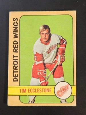 1972-73 O-PEE-CHEE HOCKEY #55 TIM ECCLESTONE DETROIT RED WINGS D - Image 1 of 4