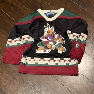 Vintage Phoenix Coyotes “Kachina” Hockey Jersey Youth Size M Starter NHL - Picture 1 of 18
