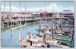 Fisherman's Wharf, Sea Boat Fishing San Francisco, Vintage California Postcard - Picture 1 of 2