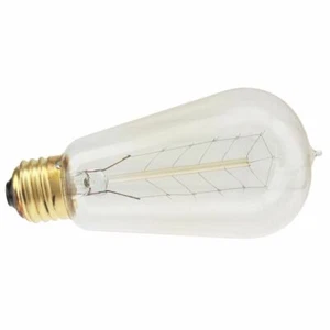 VINTAGE 40WATT 1890 LIGHT BULB - Picture 1 of 1