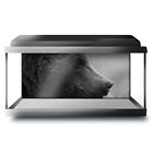 Fish Tank Background 90x45cm BW - Wild Bear  #36115