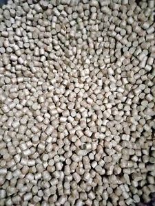 Skretting Elite Trout Pellets Carp Koi Various Sizes Available Free Postage - Picture 1 of 2