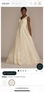 David’s Bridal wedding dress champagne, and ivory - Picture 1 of 3