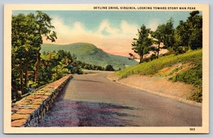 Vintage Skyline Drive Virginia Postcard Stony Man Peak Shenandoah - Picture 1 of 2