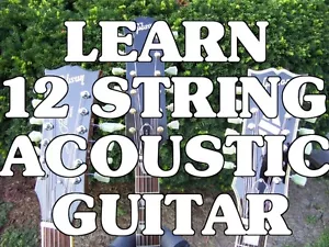 Learn 12 String Acoustic Guitar! Beginner Lessons DVD.Sound Amazing, Not Sloppy. - Picture 1 of 3