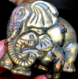 52g Elefante Talla Labradorita Cristal Natural Tallado a Mano Curación q945 - Imagen 1 de 8