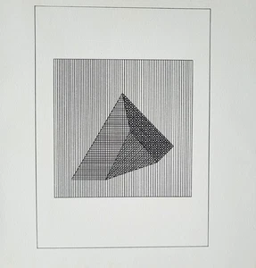 Serigrafía/placa serigrafía original Sol LeWitt XVI de "Ficciones" 1984 con doc - Imagen 1 de 5
