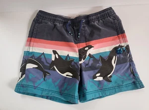 Boy PARTY PANTS Shorts L Dolphin Print Summer Fun Beach Wear Unique - Picture 1 of 8