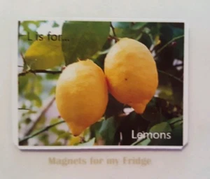CHILDREN'S LEARNING ALPHABET 'L is for Lemons' FRIDGE MAGNET - M472 F - Picture 1 of 1